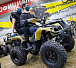 Квадроцикл PROMAX ATV 250 (2025) в Копейске