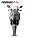 МаксиСкутер PROMAX-HONDA ADV 150 (49) (Inspired by HONDA) в Копейске