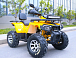 Квадроцикл MOTOLAND (МОТОЛЕНД) VOX200 WILD TRACK X PRO (баланс. вал) в Копейске