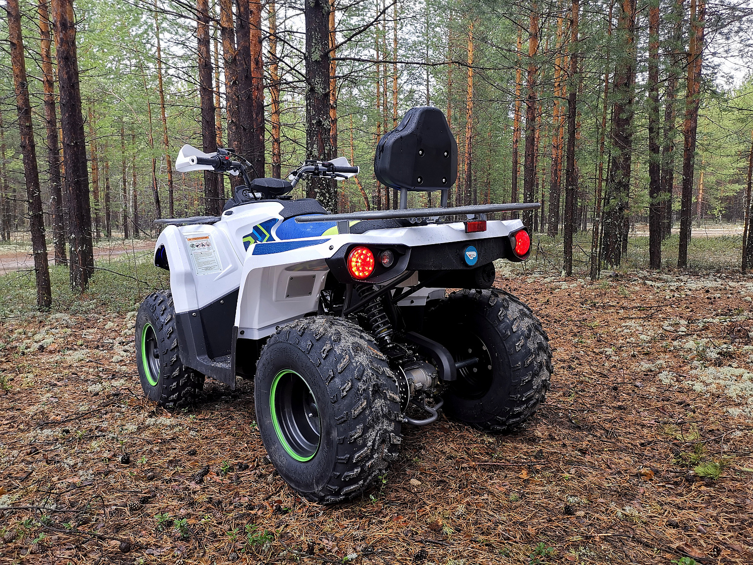 Квадроцикл PROMAX RENEGADE 280 (2025) в Копейске