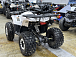 Квадроцикл PROMAX WILD 2.0 190 LUX в Копейске