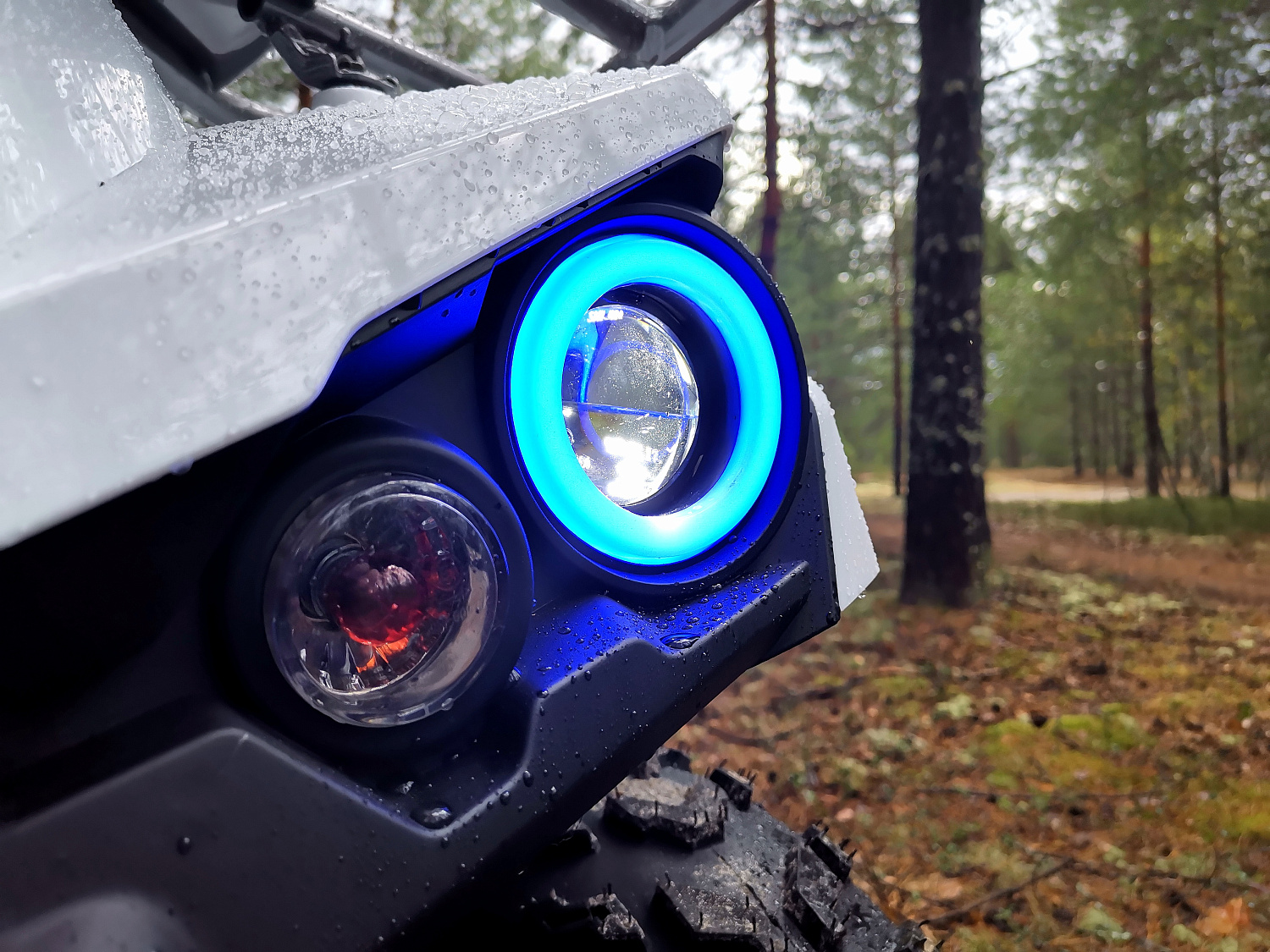 Квадроцикл PROMAX RENEGADE 280 (2025) в Копейске