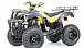 Квадроцикл MOTOLAND (МОТОЛЕНД) 250 ADVENTURE в Копейске