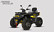 Квадроцикл PROMAX TAURUS 300 MAX-PRO LONG в Копейске